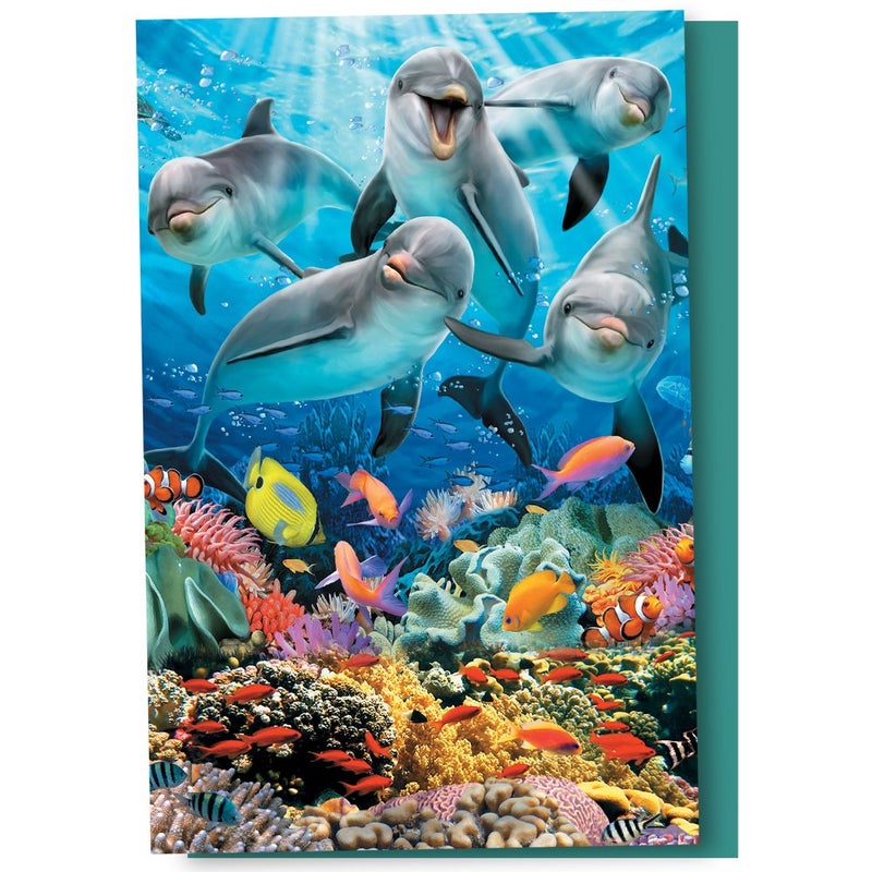Tree-Free Greetings - All Occasion Cards - Artful Designs - 12 Greeting Cards + White Envelopes - Made in USA - 100% Recycled Paper - 4 x 6 - Dolphin Delight (FS56897)